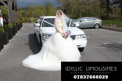 Welsh Limos photo
